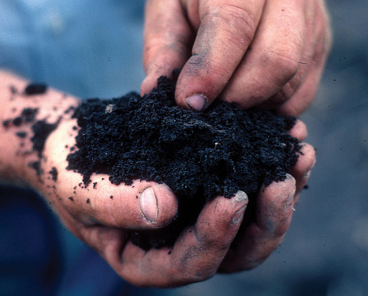 Soil Fertility And Erosion