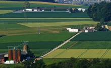 Landwirtschaft